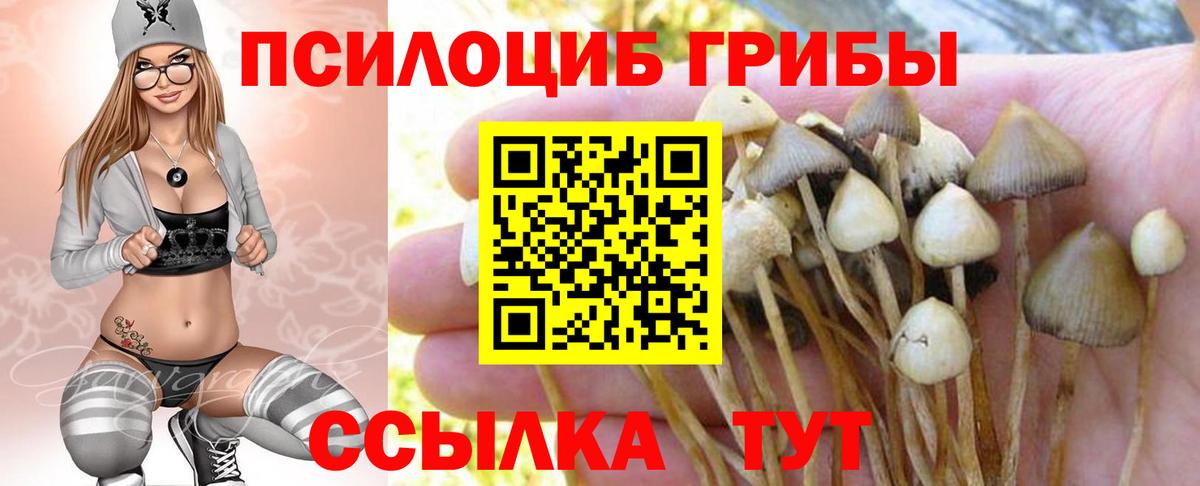 где продают наркотики  Псилоцибиновые грибы мицелий  Иваново  Вход с VPN  Псилоцибиновые грибы GOLDEN TEACHER 